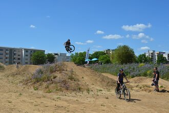Bike Dirt Park im Auenland | © Stadt Bad Mergentheim