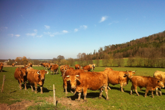 Bio-Hof Mayer | © Hohenlohe Schwäbisch Hall