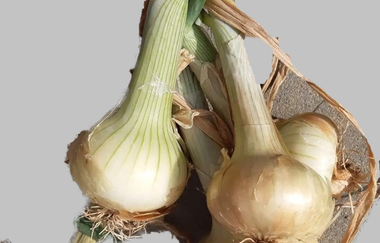 Biohof Dissinger | © Liebliches Taubertal