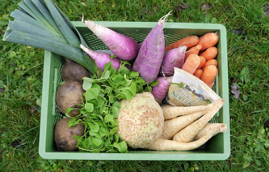 Biohof und Hofladen Braun | © Biohof Braun