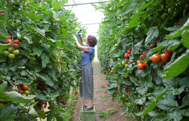 Biohof und Hofladen Braun | © Biohof Braun