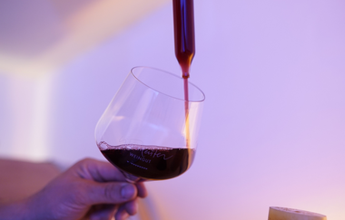 BioWeingut Weinreuter | HeilbronnerLand | © BioWeingut Weinreuter