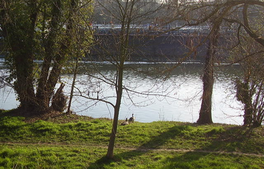 Bistro am Fluss in Ladenburg | © Bistro am Fluss Ladenburg