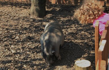 Bitzel Obsthof Hirschberg | © Beate Otto