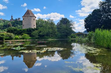 Blick vom Schlosspark aus auf den Blauen Hut und im Hintergrund die Burgruine Windeck | © Cornelia Eicher