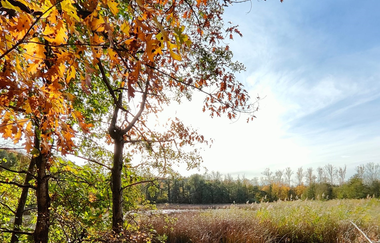 Bleichsee Löwenstein | HeilbronnerLand | © Touristikgemeinschaft HeilbronnerLand