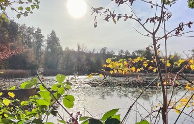 Bleichsee Löwenstein | HeilbronnerLand | © Touristikgemeinschaft HeilbronnerLand