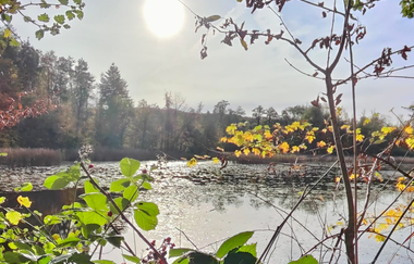 Bleichsee Löwenstein | HeilbronnerLand | © Touristikgemeinschaft HeilbronnerLand