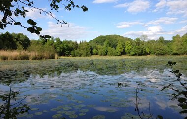 Bleichsee Löwenstein | HeilbronnerLand | © Touristikgemeinschaft HeilbronnerLand