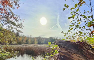 Bleichsee Löwenstein | HeilbronnerLand | © Touristikgemeinschaft HeilbronnerLand