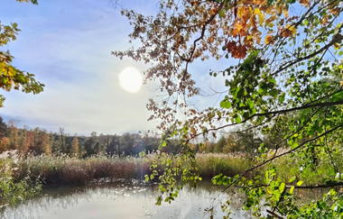 Bleichsee Löwenstein | HeilbronnerLand | © Touristikgemeinschaft HeilbronnerLand
