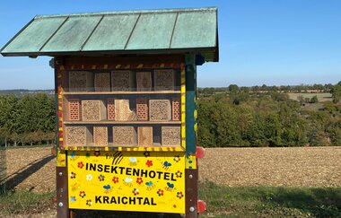 Insektenhotel am BLICKREICH Gochsheim