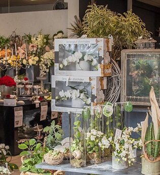 Blumen Jenner GmbH | © Unbekannt