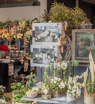 Blumen Jenner GmbH | © Unbekannt