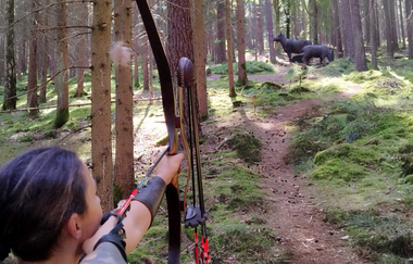 3D-Bogenparcours | Bogenpfade | HeilbronnerLand | © Bogenpfade