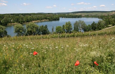 Breitenauer See - Naherholungsgebiet & Badesee | Weinsberger Tal | HeilbronnerLand | © Naherholungszweckverband Breitenauer See