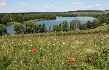 Breitenauer See - Naherholungsgebiet & Badesee | Weinsberger Tal | HeilbronnerLand | © Naherholungszweckverband Breitenauer See
