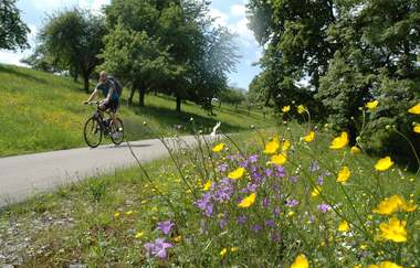 am Brettachtal-Radweg | HeilbronnerLand | © Touristikgemeinschaft HeilbronnerLand