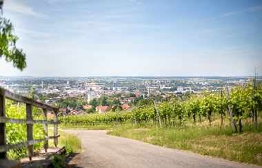 Wein Panorama Weg Heilbronn | © Heilbronn Marketing GmbH