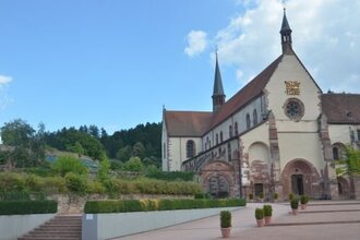 Bronnbach - Weinberge - Bronnbach