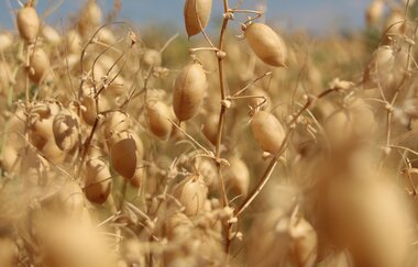 Bubenlohe | © Liebliches Taubertal