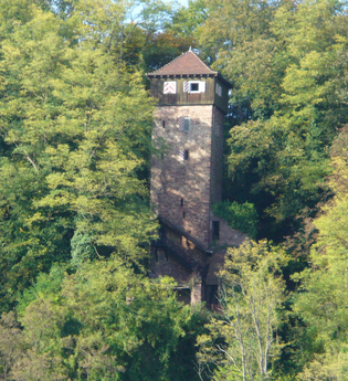 Burg Dauchstein Binau | © Gemeinde Binau