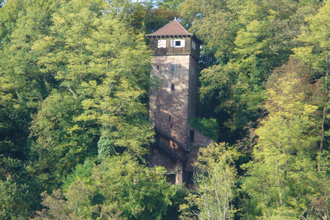 Burg Dauchstein Binau | © Gemeinde Binau