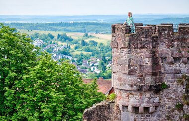 Burg Dilsberg