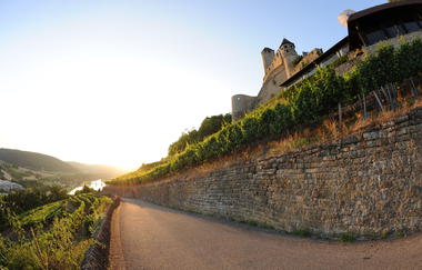 Sonnenuntergang an der Burg Hornberg / Odenwald | © Touristikgemeinschaft Odenwald e.V.