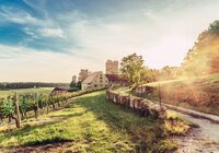 Blick auf Burg Neipperg im Zabergäu | HeilbronnerLand | © Touristikgemeinschaft HeilbronnerLand