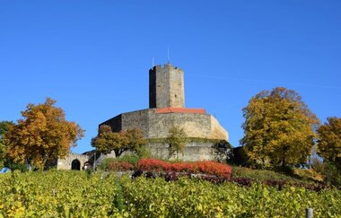 Burg Steinsberg Tagungs & Eventlocation | © Stadtverwaltung Sinsheim