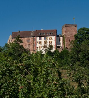 Burg und Burgpark Gamburg bei Werbach