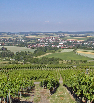 Der Blick geht über grüne Reben in ein Panorama über | © Touristikgemeinschaft Hohenlohe e. V. | Gemeinde Bretzfeld