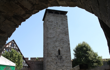 Bergfried Langhans | Burgfalknerei Hohenbeilstein | Beilstein | HeilbronnerLand | © Burgfalknerei Hohenbeilstein
