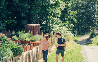 Kräuter-, Tee- & Würzgarten im Burgareal Löwenstein | HeilbronnerLand | © Touristikgemeinschaft HeilbronnerLand