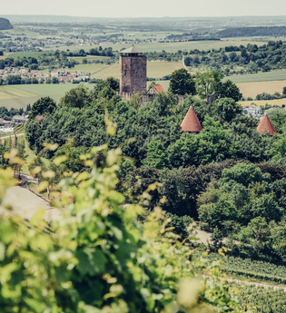 Burg Hohenbeilstein | HeilbronnerLand | © Touristikgemeinschaft HeilbronnerLand e.V.