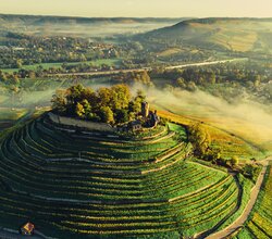 Drohnenaufnahme der Burgruine Weibertreu im Morgennebel. Aussicht über Weinsberger Tal mit dem Naturpark Schwäbisch-Fränkischer Wald im Hintergrund. | © Touristikgemeinschaft HeilbronnerLand
