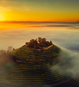 Drohnenaufnahme über Burgruine Weibertreu Weinsberg bei Sonnenaufgang | © Touristikgemeinschaft HeilbronnerLand