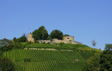 Burgruine Weibertreu | Weinsberg | HeilbronnerLand | © Tourismus im Weinsberger Tal