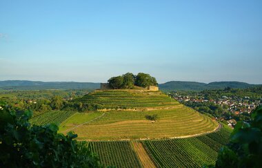 Burgruine Weibertreu | Weinsberg | HeilbronnerLand | © Tourismus im Weinsberger Tal