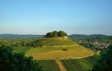 Burgruine Weibertreu | Weinsberg | HeilbronnerLand | © Tourismus im Weinsberger Tal