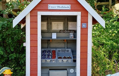 Im Selbstbedienungs-Obsthäusle kannst du frisches Obst kaufen | © Hohenlohe Künzelsau | Familie Blanck