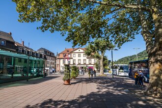 Ein-und Ausstiegsstelle für Busse am Neckarmünzplatz | © Heidelberg Marketing GmbH / Tobias Schwerdt