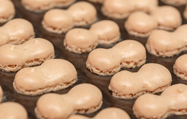 Langenburger Wibele | © Hohenlohe + Schwäbisch Hall Tourismus e. V.