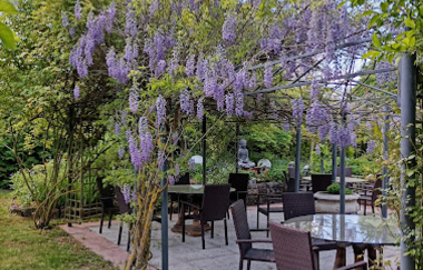 Cafe Paradies
