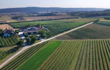 Cassismanufaktur Danner | © Cassismanufaktur Danner GmbH & Co. KG