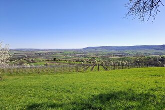 Blick von Charlottenberg, Pfedelbach, Hohenlohe | © Hohenloher Perlen