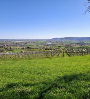 Blick von Charlottenberg, Pfedelbach, Hohenlohe | © Hohenloher Perlen