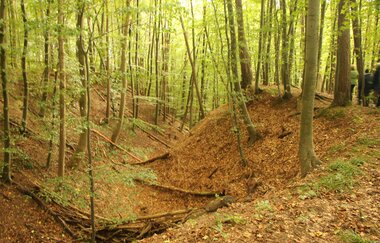 Dachsenfranz-Höhle zwischen Dielheim und Horrenberg | © Landratsamt Rhein-Neckar-Kreis