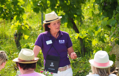 WeinErlebnisTour mit WeinErlebnisFührerin Daisy Knisel | HeilbronnerLand | © Daisy Knisel